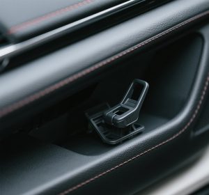 Fastener in car field